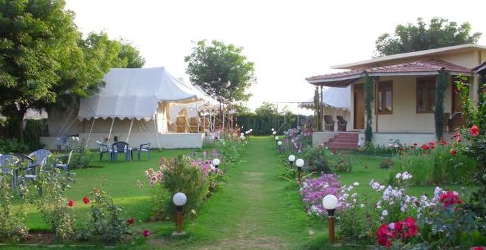 Jungle View Resort